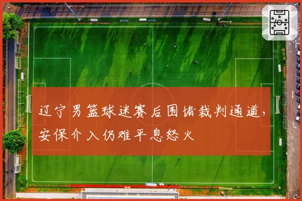 辽宁男篮球迷赛后围堵裁判通道,安保介入仍难平息怒火