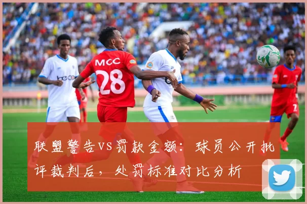 联盟警告vs罚款金额：球员公开批评裁判后，处罚标准对比分析
