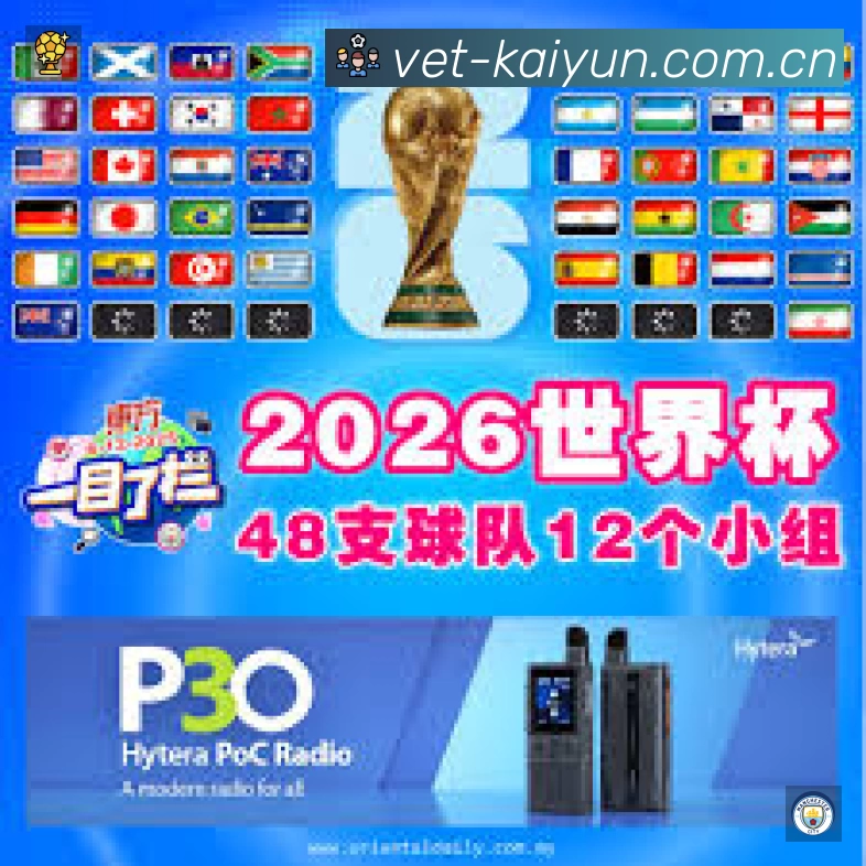 全球访问热力分布图