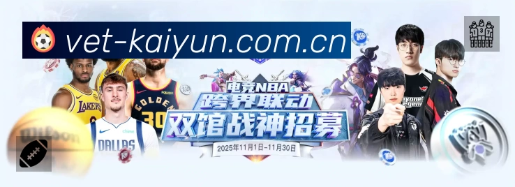 开云安全价值